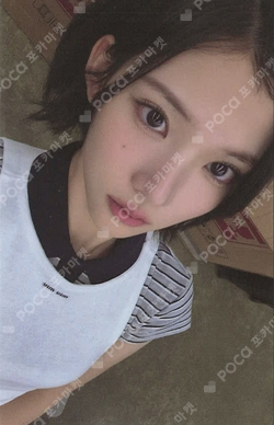 FOCUS WEVERSE photocard