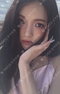 FOCUS PHOTO SET photocard