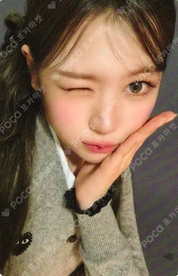 FOCUS APPLEMUSIC photocard