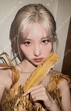 Focus Star photocard