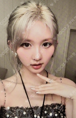 Focus Star photocard