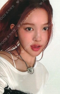 FOCUS EVERLINE photocard