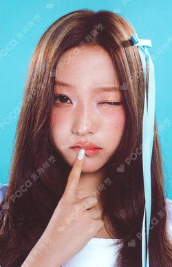 FOCUS PHOTO SET photocard