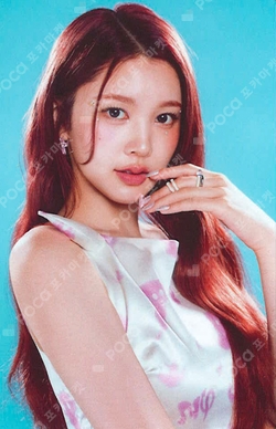 FOCUS PHOTO SET photocard