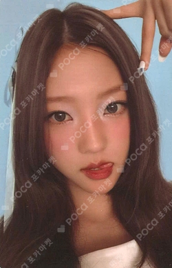 FOCUS PHOTO SET photocard