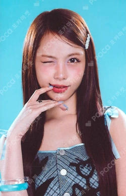 FOCUS PHOTO SET photocard