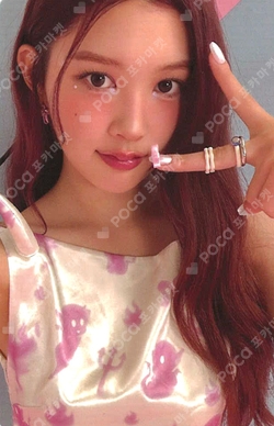 FOCUS PHOTO SET photocard