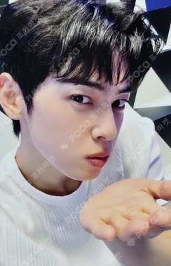 Pocamarket, ASTRO ChaEunwoo ROROHA 2020 POP UP K-pop Photocard