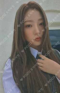 FOCUS WEVERSE JAPAN photocard