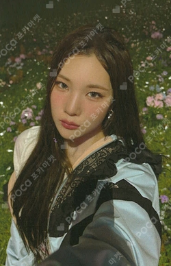 FOCUS UNIVERSAL photocard