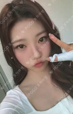 FOCUS APPLEMUSIC photocard