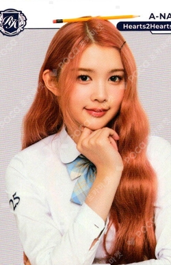 TELECA COLLECTION CARD 2025 K-POP ROOKIE BASE photocard