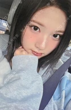 FOCUS MUSICART photocard