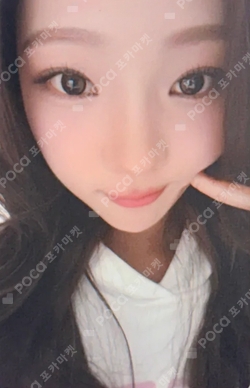 FOCUS MUSICART photocard