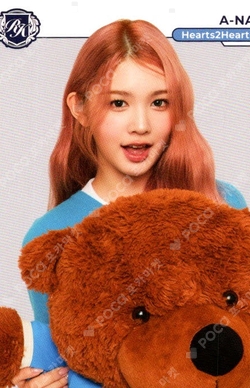 TELECA COLLECTION CARD 2025 K-POP ROOKIE BASE photocard