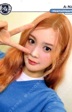 TELECA COLLECTION CARD 2025 K-POP ROOKIE BASE photocard