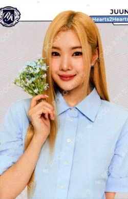 TELECA COLLECTION CARD 2025 K-POP ROOKIE BASE photocard