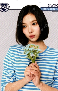 TELECA COLLECTION CARD 2025 K-POP ROOKIE BASE photocard