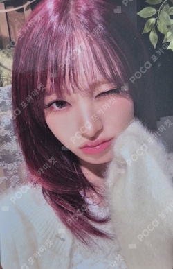 2025 KBS Song Festival Global Festival photocard