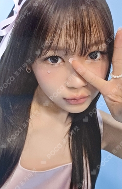 FOCUS PHOTO SET photocard