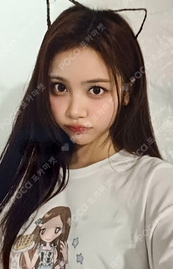 FOCUS T-SHIRT SET photocard