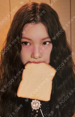 FOCUS RANDOM TRADING CARD B ver. photocard