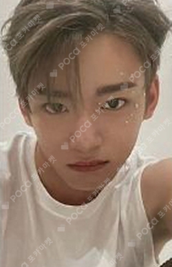 WHIB Photocards | Pocamarket