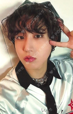 Pocamarket, Stray Kids HAN Christmas EveL K-pop Photocard