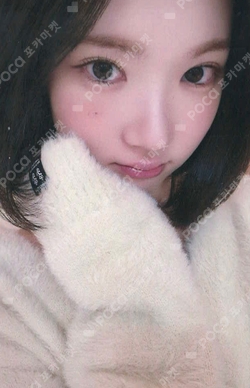 The Chase KMS photocard