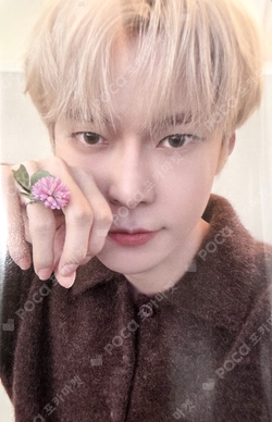 Pocamarket, NCT DOYOUNG Golden Age Archiving Ver. Japan Exclusive
