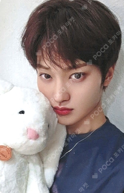 Pocamarket, CRAVITY TAEYOUNG SUN SEEKER APPLEMUSIC K-pop Photocard