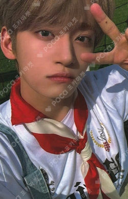 WHIB Photocards | Pocamarket