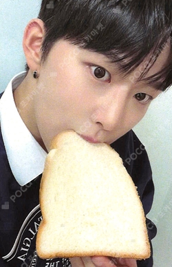 WHIB Photocards | Pocamarket