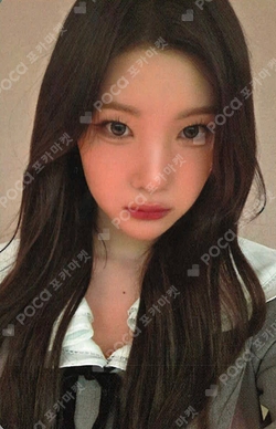 FOCUS APPLEMUSIC photocard