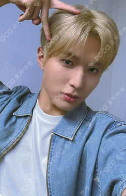 WHIB Photocards | Pocamarket