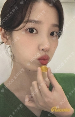 Pocamarket, IU IU 2019 SEASON'S GREETINGS K-pop Photocard