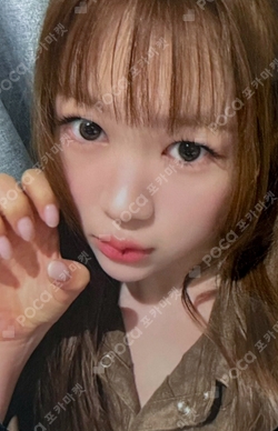 FOCUS APPLEMUSIC photocard
