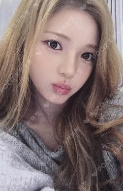 FOCUS NY MUSIC photocard