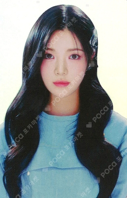 The Chase POSTCARD + HOLOGRAM PHOTO CARD SET photocard