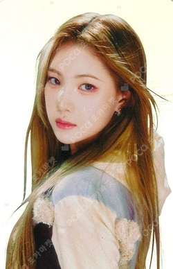 The Chase POSTCARD + HOLOGRAM PHOTO CARD SET photocard