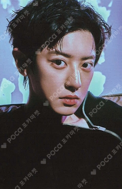 Pocamarket, EXO CHANYEOL OBSESSION EXO Ver. K-pop Photocard