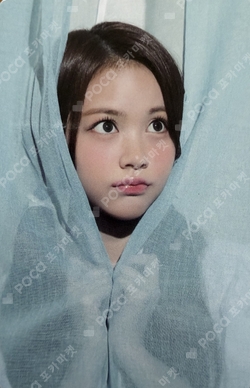 2026 SEASON'S GREETINGS RANDOM TRADING CARD SET A ver. photocard