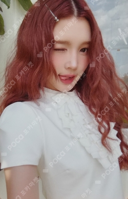 2026 SEASON'S GREETINGS PHOTO PACK photocard