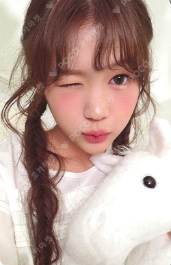 2026 SEASON'S GREETINGS RANDOM TRADING CARD SET B ver. photocard