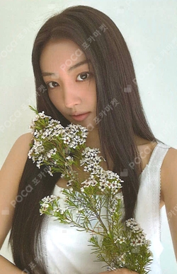 Pocamarket, MEOVV GAWON MEOW BROADCAST K-pop Photocard