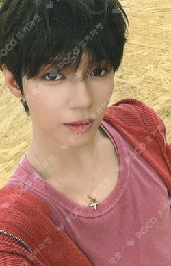 タレントカード ahof JL Pocamarket, AHOF JL The Passage FAN SHOWCASE K-pop Photocard