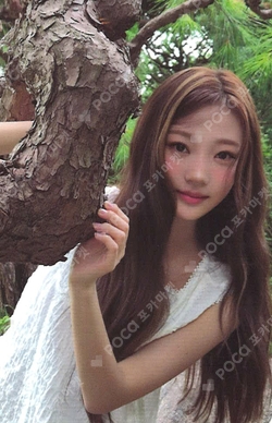2026 SEASON'S GREETINGS RANDOM TRADING CARD SET B ver. photocard