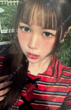 FOCUS Hellolive shop LUCKY DRAW photocard