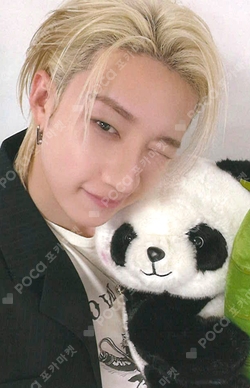 Pocamarket, Stray Kids BANG CHAN NOEASY SubK K-pop Photocard