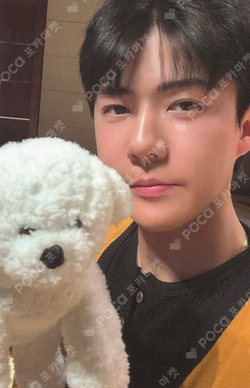 Pocamarket, EXO SEHUN REVERXE SM STORE/Berriz Shop LUCKY DRAW K